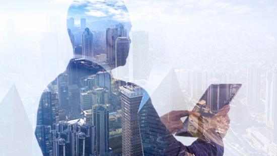 Alvarez & Marsal (A&M) - Private Equity Services: Information Technology Services