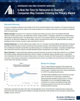Is Now the Time for Reinsurers to Diversify?