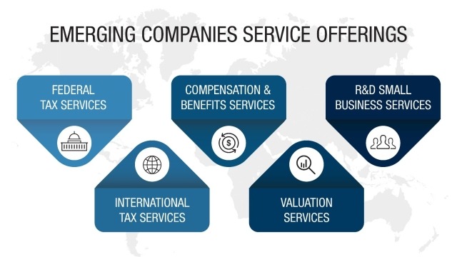 Emerging Companies Service Offerings